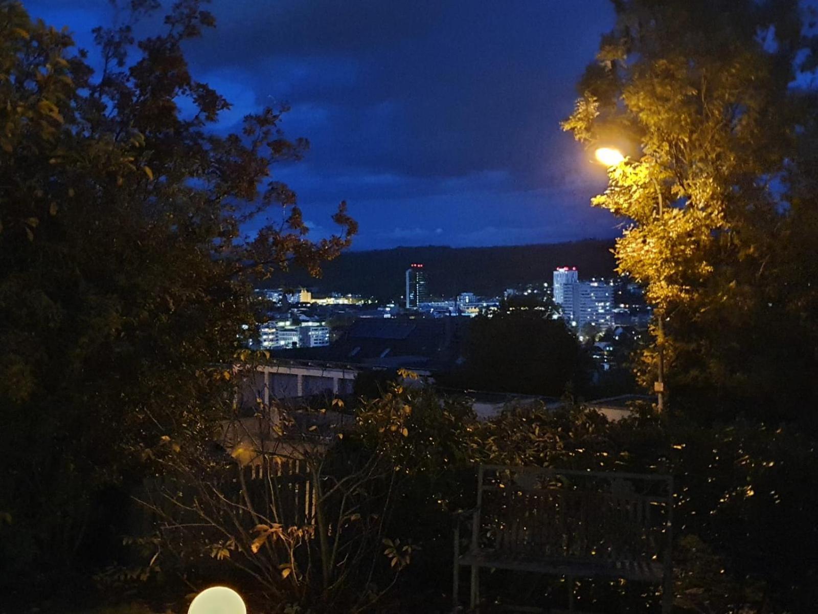 Schoene Wohnung Mit Ausblick Und Gartensitzplatz Лёррах Экстерьер фото